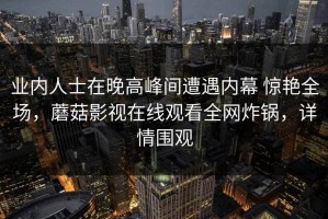 业内人士在晚高峰间遭遇内幕 惊艳全场，蘑菇影视在线观看全网炸锅，详情围观