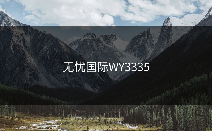 无忧国际WY3335
