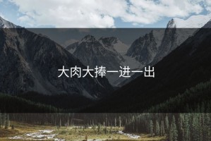 大肉大捧一进一出