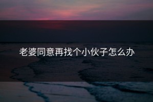 老婆同意再找个小伙子怎么办