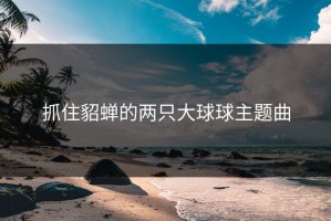 抓住貂蝉的两只大球球主题曲