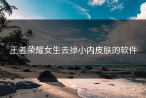 王者荣耀女生去掉小内皮肤的软件