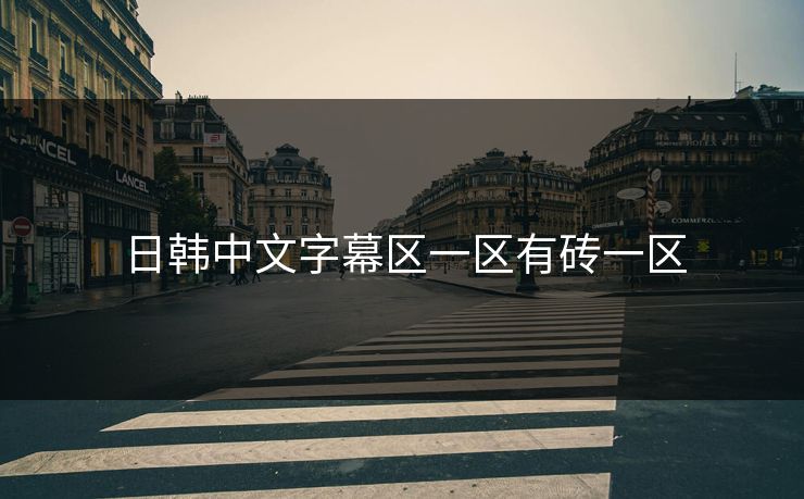 日韩中文字幕区一区有砖一区