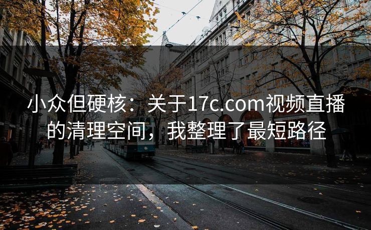 小众但硬核：关于17c.com视频直播的清理空间，我整理了最短路径